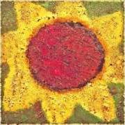 Il testo SUNFLOWER di NEVER SHOUT NEVER è presente anche nell'album Sunflower (2013)