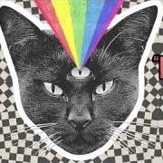 Il testo WOOHOO di NEVER SHOUT NEVER è presente anche nell'album Black cat (2015)