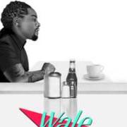 Il testo THE MIDDLE FINGER di WALE è presente anche nell'album The album about nothing (2015)