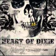 Il testo BIG NUTZ dei YELAWOLF è presente anche nell'album Heart of dixie (2012)