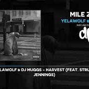 Il testo GEEYAT DAMNIT dei YELAWOLF è presente anche nell'album Mile zero (2021)