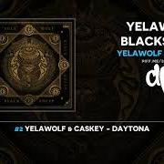 Il testo TURN UP IN TIJUANA dei YELAWOLF è presente anche nell'album Yelawolf blacksheep (2021)