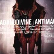 Il testo SLUMLORD dei DEAD AND DIVINE è presente anche nell'album Antimacy (2011)