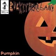 Il testo PUMPKIN PIKES 9 di BUCKETHEAD è presente anche nell'album Pumpkin (2013)