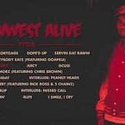 Il testo INTERLUDE: MISSED CALL di TYGA è presente anche nell'album Rawwest alive (2016)