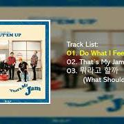 Il testo DO WHAT I FEEL di B.A.P è presente anche nell'album Put'em up (2016)