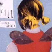 Il testo YOU WERE RIGHT dei BUILT TO SPILL è presente anche nell'album Keep it like a secret (1999)