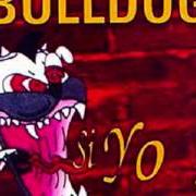 Il testo NO ME IMPORTA dei BULLDOG è presente anche nell'album Un lugar para juntarnos (1997)