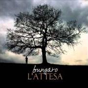 Il testo L'INFEDELE di BUNGARO è presente anche nell'album L'attesa (2004)