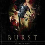 Il testo (WE WATCHED) THE SILVER RAIN dei BURST è presente anche nell'album Lazarus bird (2008)