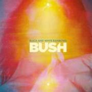 Il testo WATER dei BUSH è presente anche nell'album Black and white rainbows (2017)