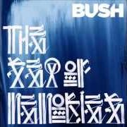 Il testo ALL NIGHT DOCTORS (ORIGINAL VERSION) dei BUSH è presente anche nell'album The sea of memories (2011)
