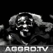 Il testo AGGRO TEIL 2 di BUSHIDO è presente anche nell'album Aggro ansage nr. 2 (2002)