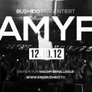 Il testo HOCHMUT di BUSHIDO è presente anche nell'album Amyf (2012)