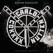 Il testo YO, PEACE MAN! di BUSHIDO è presente anche nell'album Carlo cokxxx nutten (fler) (2021)