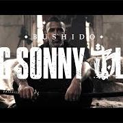 Il testo NARBEN di BUSHIDO è presente anche nell'album Sonny black ii (2021)