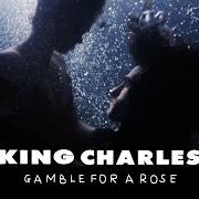 Il testo BRIGHT THING di KING CHARLES è presente anche nell'album Gamble for a rose (2016)