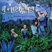 Il testo LEAVES delle B*WITCHED è presente anche nell'album Awake and breathe (1999)