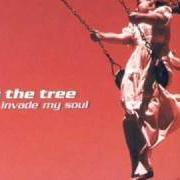 Il testo OPEN MY EYES dei BY THE TREE è presente anche nell'album Invade my soul (2001)