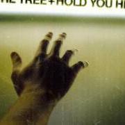 Il testo JESUS WASHED dei BY THE TREE è presente anche nell'album Hold you high (2004)