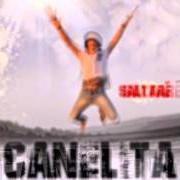 Il testo SALTARÉ di CANELITA è presente anche nell'album Saltaré (2015)