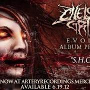 Il testo THE SECOND COMING di CHELSEA GRIN è presente anche nell'album Evolve (2012)