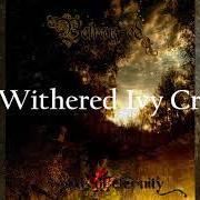 Il testo 205 di DEEP WOODS è presente anche nell'album Betray (2012)