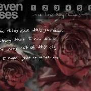 Eleven roses