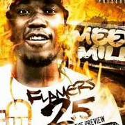 Il testo RUN THIS TOWN di MEEK MILL è presente anche nell'album Flamers 2.5: the preview - mixtape (2009)