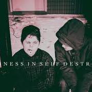 Il testo HAPPINESS IN SELF DESTRUCTION di THE PLOT IN YOU è presente anche nell'album Happiness in self destruction (2015)