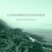Il testo AND NEVER RETURN dei CADAVEROUS CONDITION è presente anche nell'album What the waves were always saying (2003)