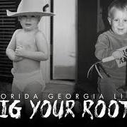 Il testo HOLY di FLORIDA GEORGIA LINE è presente anche nell'album Dig your roots (2016)