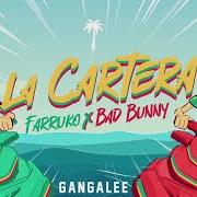 Il testo PLAYA di FARRUKO è presente anche nell'album Gangalee (2019)