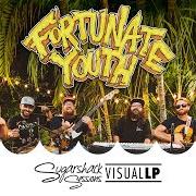 Il testo RUN TO AFTER di FORTUNATE YOUTH è presente anche nell'album Live life (2019)