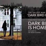 Il testo LITTLE NOWHERE TOWNS di THE TALLEST MAN ON EARTH è presente anche nell'album Dark bird is home (2015)