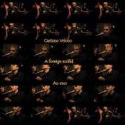 Il testo LOVE ME TENDER di CAETANO VELOSO è presente anche nell'album A foreign sound (2004)