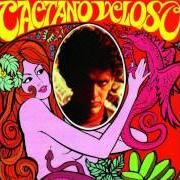 Il testo CLARA di CAETANO VELOSO è presente anche nell'album Caetano veloso (1968)