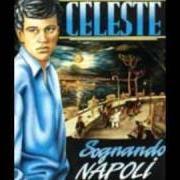 Il testo 'O RITRATTO 'E NANNINELLA di GIANNI CELESTE è presente anche nell'album Sognando napoli vol. 2 (1988)