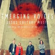 Il testo YOU ARE MY GOD di JESUS CULTURE è presente anche nell'album Emerging voices (2012)
