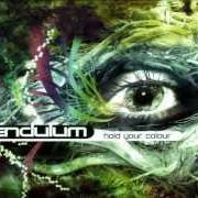 Il testo STILL GREY di PENDULUM è presente anche nell'album Hold your colour (2005)