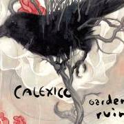 Il testo CRUEL dei CALEXICO è presente anche nell'album Garden ruin (2006)