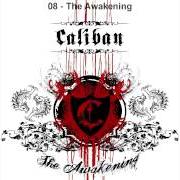 Il testo ANOTHER COLD DAY dei CALIBAN è presente anche nell'album The awakening (2007)