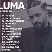 Il testo PROCURA di MALUMA è presente anche nell'album Don juan (2023)