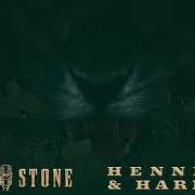 Il testo SELFISH di STEVIE STONE è presente anche nell'album Black lion, segment: 3 (2020)