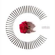 Il testo R.I.P. di COLDRAIN è presente anche nell'album Fateless (2017)