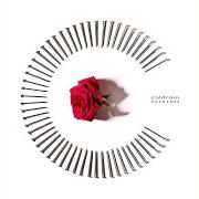 Il testo ENVY di COLDRAIN è presente anche nell'album Fateless (2017)