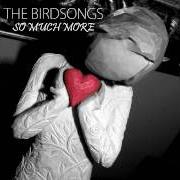 Il testo SO MUCH MORE di BIRDSONGS (THE) è presente anche nell'album Celestial stationary ep (2008)