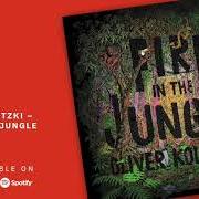 Il testo ZEITGEIST di OLIVER KOLETZKI è presente anche nell'album Fire in the jungle (2019)