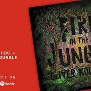 Il testo FRIENDLY REMINDER di OLIVER KOLETZKI è presente anche nell'album Fire in the jungle (2019)