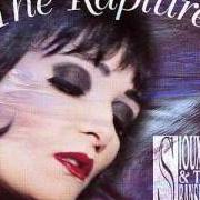 Il testo NOT FORGOTTEN dei SIOUXSIE AND THE BANSHEES è presente anche nell'album The rapture (1995)